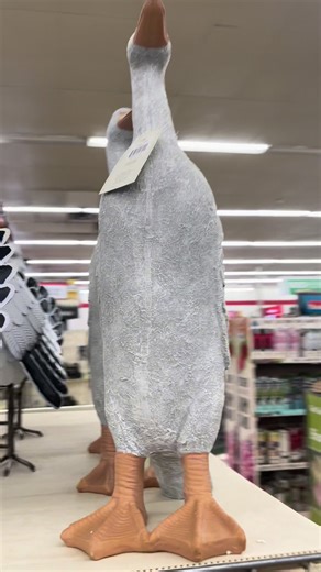 Cuteness Overload at Tractor Supply: Farm Animals Galore