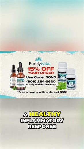 Wild Oregano Oil: 6 Amazing Health Benefits Explained #shorts