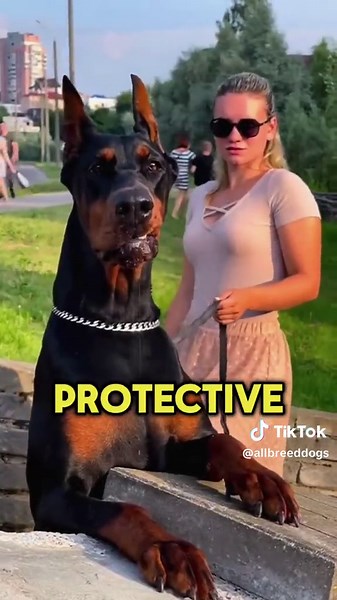 The 5 Most Dangerous Dog Breeds You Should Avoid