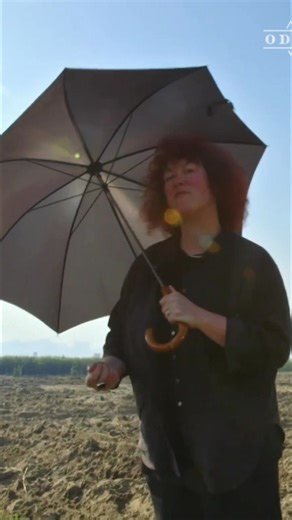 The annual Nile flood was the single most important event for ancient Egyptians. Its waters brought life-giving nutrients that enriched the soil, allowing agriculture to flourish. Egypt is blessed with incredibly fertile land. #NileFlood #AncientEgypt #Agriculture #FertileLand #EgyptianHistory From: Immortal Egypt with Joann Fletcher S1 Ep1 | Odyssey - Ancient History