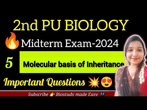 Molecular Basis of Inheritance|2 PU BIOLOGY EXAM-2024 IMPORTANT QUESTION ‪@biostudymadeeasy‬​