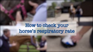 A horse at rest should take between 8 and 12 breaths per minute and rarely would you see a resting horse’s nostrils flaring indicating they are breathing hard. Knowing how to monitor your horses respiratory rate can help you determine when something is wrong.  | Petplan Equine | Facebook