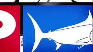 Mahi-Mahi Species Profile ⁠ ⁠ Coryphaena hippurus also known as Dolphinfish or Dorado, is one of the most sought-after fish in the sea due to their iconic looks, explosive bites, unrelenting strength, and aerial⁠ acrobatics when hooked.⁠ ⁠ . . .⁠ #PELAGICWORLDWIDE #pelagic #dorado #mahi⁠ #biggamefishing #fishtacosfordays⁠ #nature #outdoors #underwatervideo | Pelagic