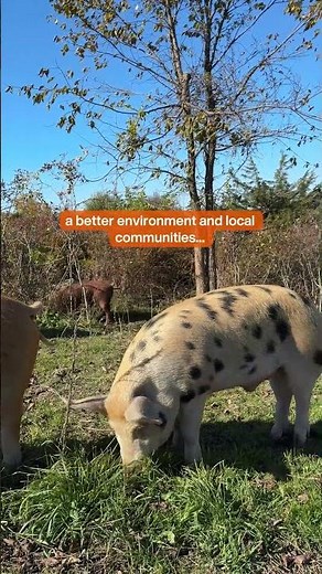 Helping you make more humane choices at the grocery store, that's our why 🧡 aspca.org/ShopKind
