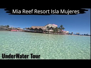 🏖️ Snorkel & Explore: Isla Mujeres’ Premier Resort Underwater Tour #snorkeling #travel #nature
