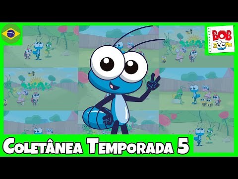 Bob Zoom Temporada 5 Completo l Vídeo Infantil Musical Oficial ‪@BobZoom‬