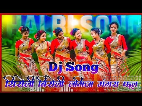 Halbi Dj Song !! सीरोली बिरोली लगिजा मंगारा फूल !! Bastariya New Halbi Dj Remix Video 2023