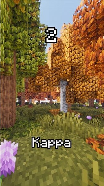 Which Shader Is The BEST? #minecraft