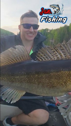 Secret to Catching Predators in Crystal Clear Water! 💎🤯 #shorts #riverfishing #zanderfishing