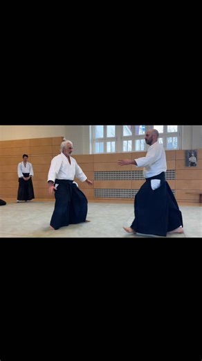 🎬 Aikido souvenir Berlin 2025 ! “The flow of the circle” Exercise movement using enka & irimi to absorb uke engagement … 📅 Next seminar in Berlin 👇 7 march 2026 ! Join us 🤗 #aikido #martialartist #aikidoseminar #aikikai #berlin | Aikido-Bruno Gonzalez