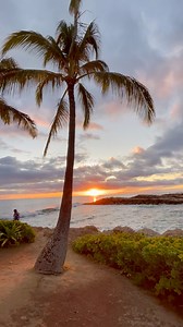 11K views · 494 reactions | Daydreaming of Hawaii ️ #aloha #hawaii #islandlife #tropical #sunset | Dan Kurtzman Photography | Facebook
