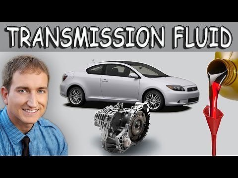 Transmission Fluid Change Toyota Scion