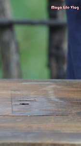 Zao Dou originated in the Wei, Jin, Southern and Northern Dynasties. It was an ancient folk cleansing powder made primarily from beans. | Maya Life Vlog