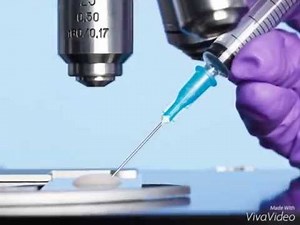 Canine Semen Analysis Setup