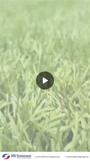 #sfotournament2026 #volleyballvibes #throwball #teamspirit #sportsday #sfobangalore #winningmoments #teamwork #corporatesports #sfotechnologies #nestgroup | SFO Technologies