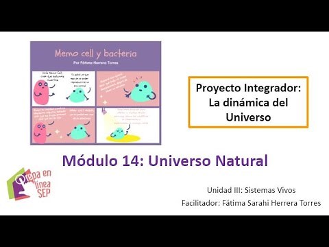 Módulo 14 - Semana 4 - Proyecto integrador - Prepa en línea SEP 2021