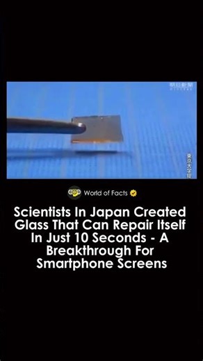 Glass That Can Repair Itself