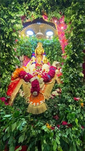 Masani Mata#statusvideo#shortsviral#songvideo #shortvideo #shortsfeed