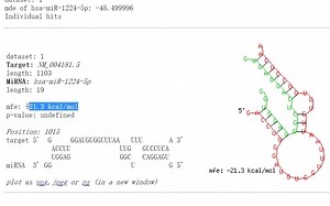 miRNA数据库（五）-②：RNAhybid