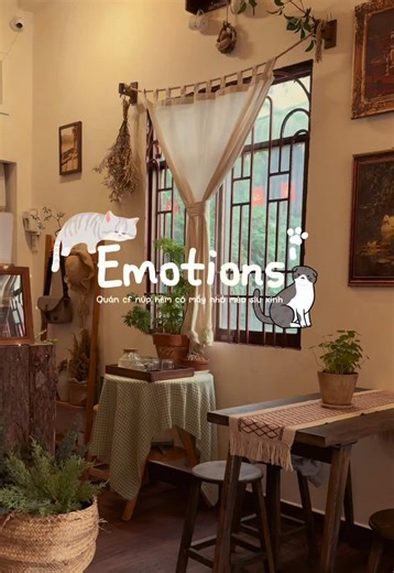 Quán cafe yên tĩnh với mèo và không gian học tập