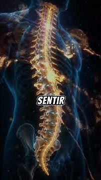 ¿Cómo funciona la columna vertebral? | La estructura que sostiene y protege tu cuerpo