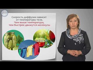 Физика 7 класс. Диффузия. Скорость движения молекул и температура тела
