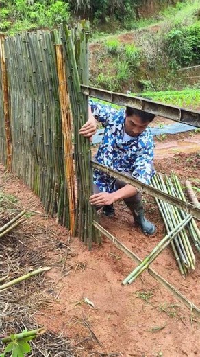 Rural Life: Sharing the Process of Building a Vegetable Garden with Bamboo Fences