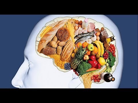 How Foods Affect your Brain Amazing BBC Documentary