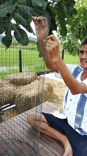 231K views · 10K reactions | Yui Yadyur on Reels | Facebook