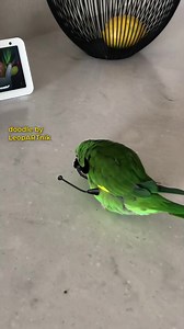 158K views · 5.2K reactions |  Little Cute Dump Truck  Sound On ...