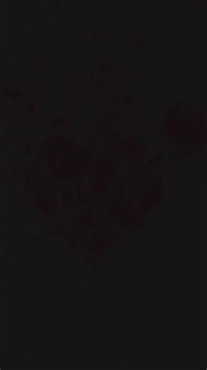 فيديوهات أنشأها mohaan carab (@mohan__cr0) باستخدام original sound - 𝙈𝙤𝙝𝙖𝙢𝙚𝙙-𝘼𝙆