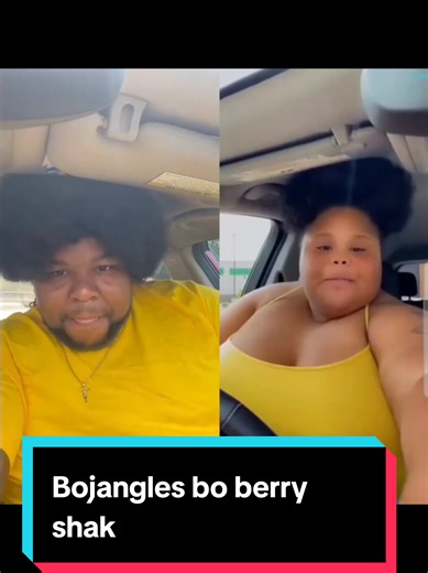 Delicious Bojangles Bo Berry Shake Review