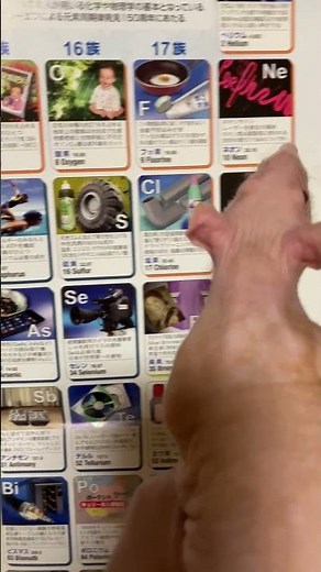 キンタの元素周期表早覚え〜♪