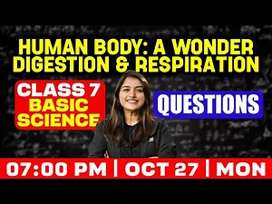 Class 7 Basic Science | Human Body: A Wonder Digestion and Respiration | Questions | Exam Winner