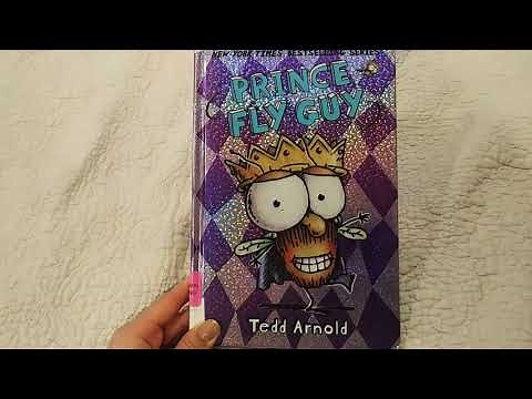 AR BOOKS FOR YOU: Prince Fly Guy