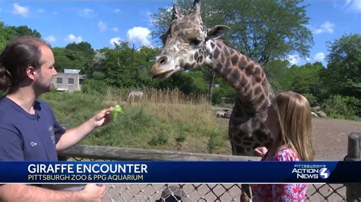 Animal encounters are back at Pittsburgh Zoo and PPG Aquarium
