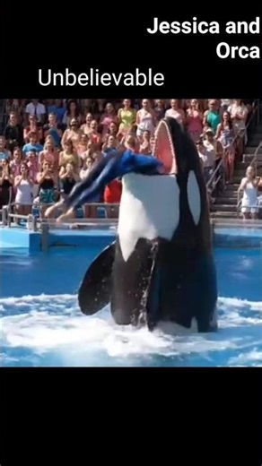 Unbelievable! Orca Lifts Jessica Out of Water 😱🐋 #shorts