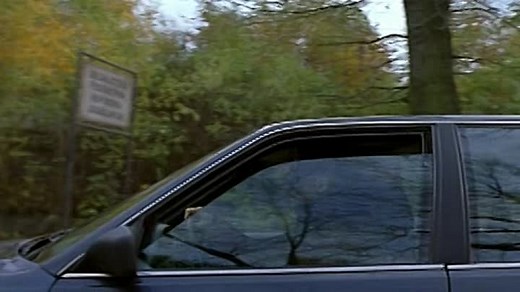 Harrison.S.Flowers.2000.TRUEFRENCH.DVDRIP.XviD.AC3-BBer-www.FilmStreamingV2.com