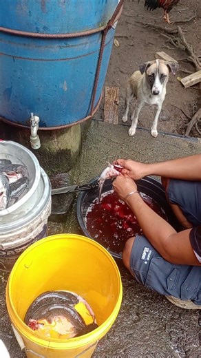 preparing catfish for grilling