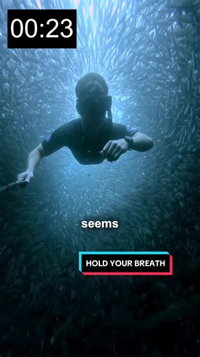 Hold Your Breath with Me - Freediving Inside a Bait Ball in Galapagos
