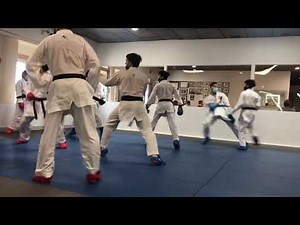 Karaté WKF training drills for Kumite