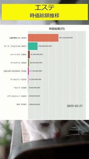 【時価総額推移】エステ💆‍♀️ #shorts #新nisa #投資 #お金の勉強 #お金の知識 #資産形成 #お金の貯め方 #資産運用 #老後資金 #日本株
