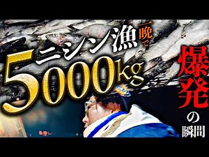 【密着】一晩で5000キロの大爆発！北海道・能取湖の過酷なニシン漁と漁師たちのリアルな舞台裏