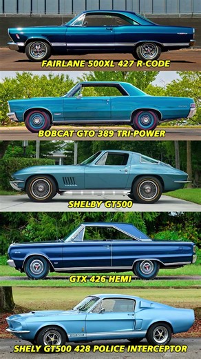 Muscle Car Royalty: GT500 428 PI, L89 Vette, AMX 390, 442 W-30 & HEMI Road Runner
