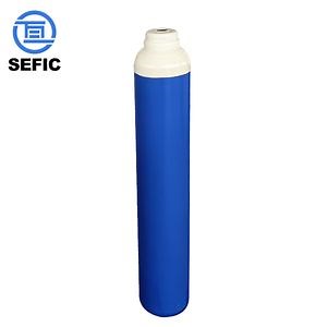 [Hot Item] En ISO9809-1 5L 10L 40L 50L Portable Oxygen Tank Medical High Pressure O2 Gas Cylinder