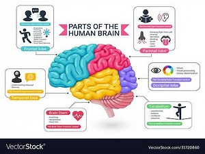 Varocarolis Chapter 4 psychotropics