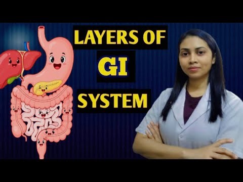 Layers of GI SYSTEM (mucosa,submucosa,muscularis, serosa,adventitia)