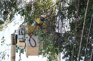 NSTAR: Over 600 Power Outages in Stoneham