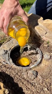 He feixed the mailbox with egg | The Anna Show