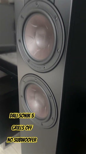 Dali Sonik 5 - No subwoofer